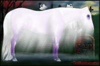 Horse Color:Black Frame 