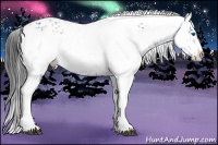 Horse Color:Black Frame 