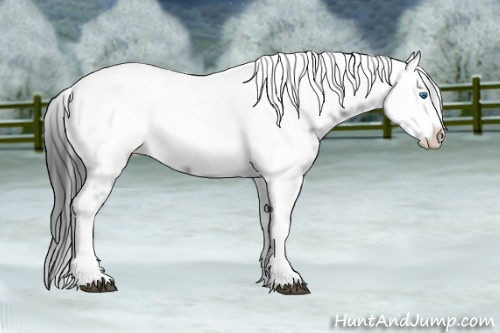 Horse Color: Black Tobiano Frame 