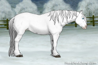 Horse Color:Black Tobiano Frame 