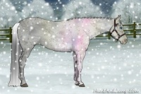 Horse Color:Liver Chestnut Frame 