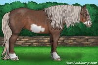 Horse Color:Silver Brown Frame 