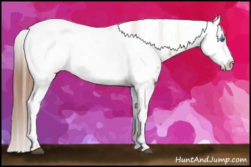Horse Color: Liver Chestnut Frame 