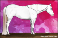 Horse Color:Liver Chestnut Frame 