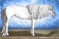 Horse Color:Black Frame 