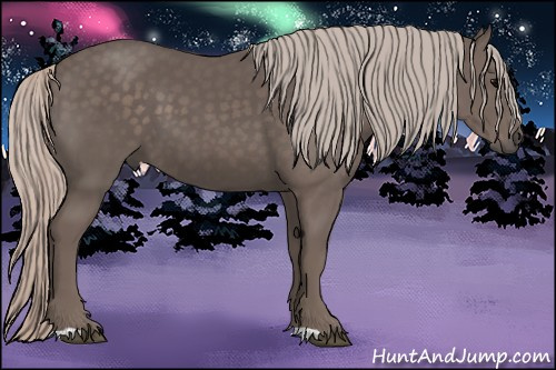 Horse Color: Silver Brown 