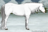 Horse Color:Liver Red Roan Frame 