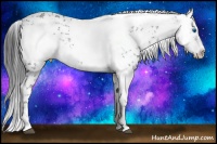 Horse Color:Black Frame 