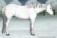 Horse Color:Brown Frame 