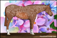 Horse Color:Chestnut Ice 