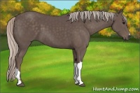 Horse Color:Silver Black 
