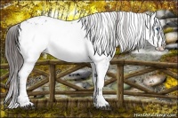 Horse Color:Liver Chestnut Frame 