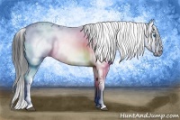 Horse Color:Black Frame 