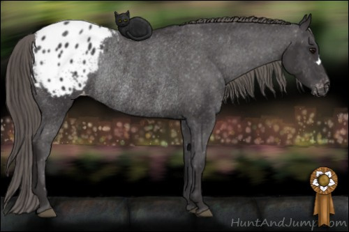 Horse Color: Buckskin Blanket Rabicano 