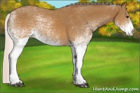 Horse Color:White Spotted Silver Buckskin 