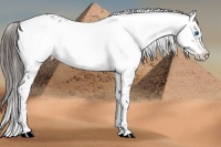 Horse Color:Liver Chestnut Frame 