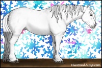 Horse Color:Gray White Spotted Buckskin 