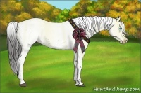 Horse Color:Liver Chestnut Frame Appaloosa 