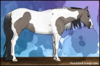 Horse Color:Grullo Tobiano 