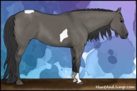 Horse Color:Grullo Tobiano 