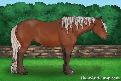 Horse Color: Silver Bay 