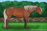 Horse Color:Silver Bay 