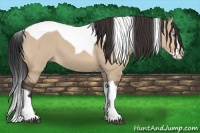 Horse Color:Bay Dun Splash Tobiano 