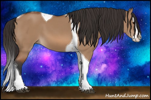 Horse Color: Bay Dun Splash Tobiano 