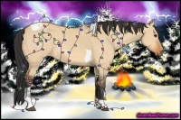 Horse Color:Bay Dun Tobiano