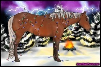 Horse Color:Silver Bay 