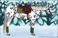 Horse Color:Blue Roan Near Leopard 