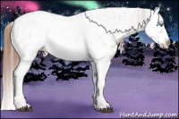 Horse Color:Liver Chestnut Frame 