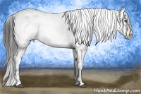 Horse Color:Blue Roan Frame 