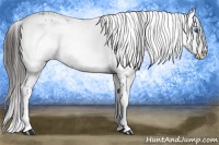 Horse Color:Liver Chestnut Frame 
