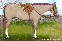 Horse Color:Red Dun Roan Splash Frame Rabicano 