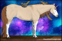 Horse Color:Red Dun Roan Splash Frame Rabicano 