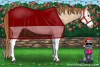 Horse Color:Red Dun Roan Splash Frame Rabicano 