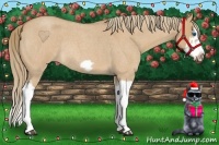 Horse Color:Red Dun Roan Splash Frame Rabicano 