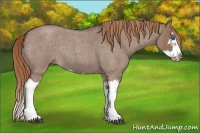 Horse Color:Liver Red Dun Roan Splash Frame Rabicano