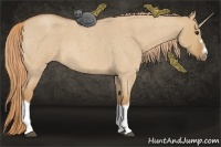 Horse Color:Red Dun Roan Splash Frame Rabicano