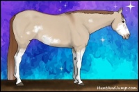 Horse Color:Red Dun Sabino Splash Frame Rabicano 