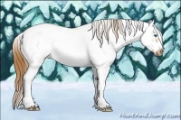 Horse Color:Red Dun Sabino Splash Frame Rabicano 