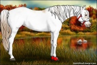 Horse Color:Red Dun Sabino Splash Frame Rabicano