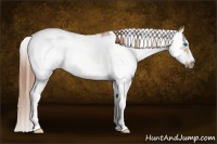 Horse Color:Red Dun Sabino Splash Frame Rabicano