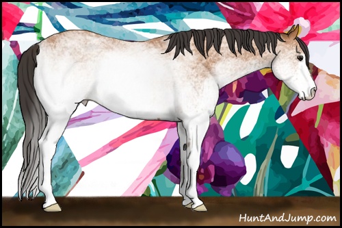 Horse Color: White Spotted Bay 