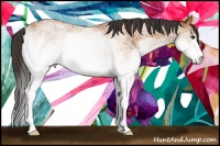 Horse Color:White Spotted Bay 
