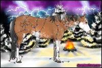 Horse Color:Bay Sabino 