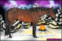 Horse Color:Bay Sabino 