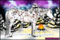 Horse Color:Bay Sabino 