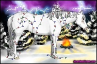 Horse Color:Bay Sabino 